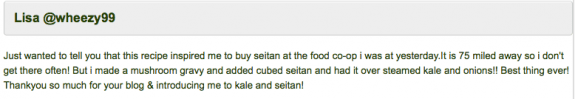 seitan recipe feedback 1