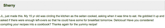 seitan recipe feedback 2