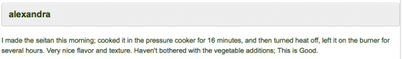 seitan recipe feedback 3